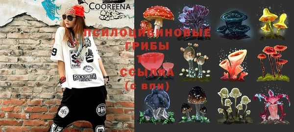 прущие грибы Балабаново
