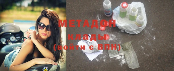 прущие грибы Балабаново
